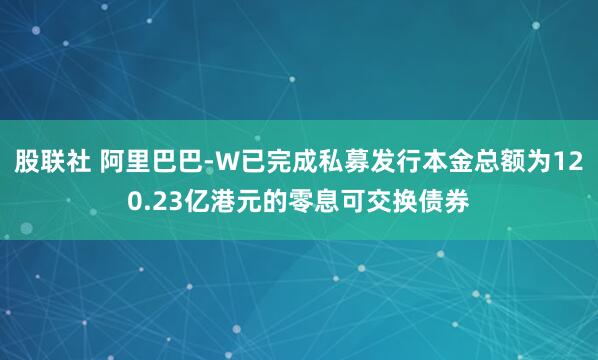 股联社 阿里巴巴-W已完成私募发行本金总额为120.23亿港元的零息可交换债券