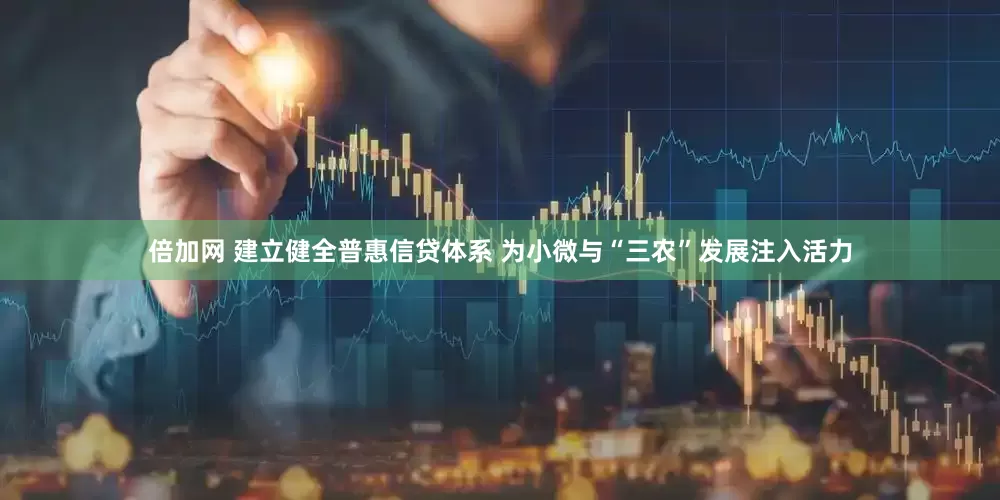 倍加网 建立健全普惠信贷体系 为小微与“三农”发展注入活力