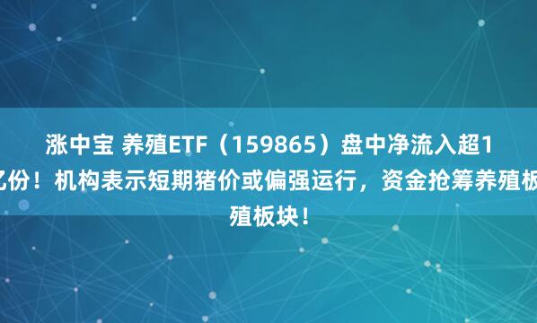 涨中宝 养殖ETF（159865）盘中净流入超1.4亿份！机构表示短期猪价或偏强运行，资金抢筹养殖板块！