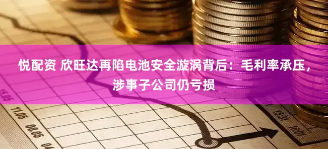 悦配资 欣旺达再陷电池安全漩涡背后：毛利率承压，涉事子公司仍亏损