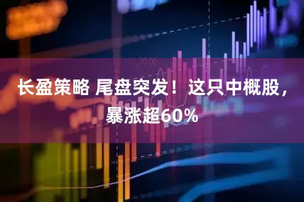 长盈策略 尾盘突发！这只中概股，暴涨超60%