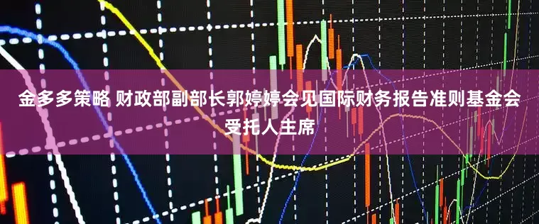 金多多策略 财政部副部长郭婷婷会见国际财务报告准则基金会受托人主席